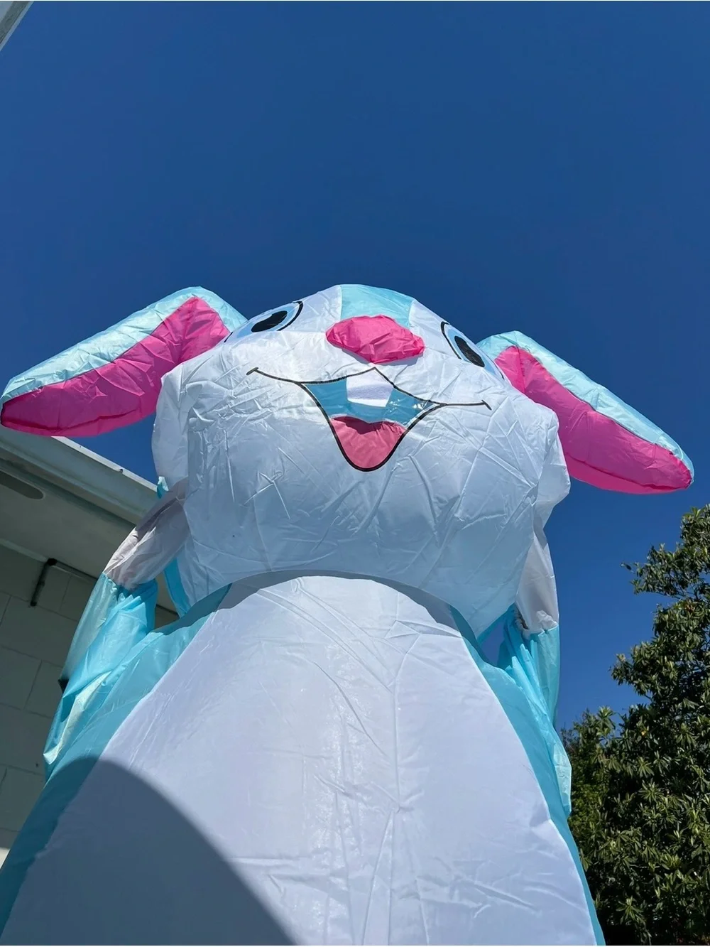 Inflatable blue bunny costume